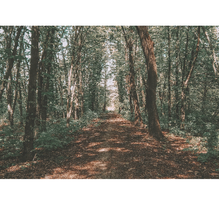 Store enrouleur bureau photo forêt verte et brune - TenStickers