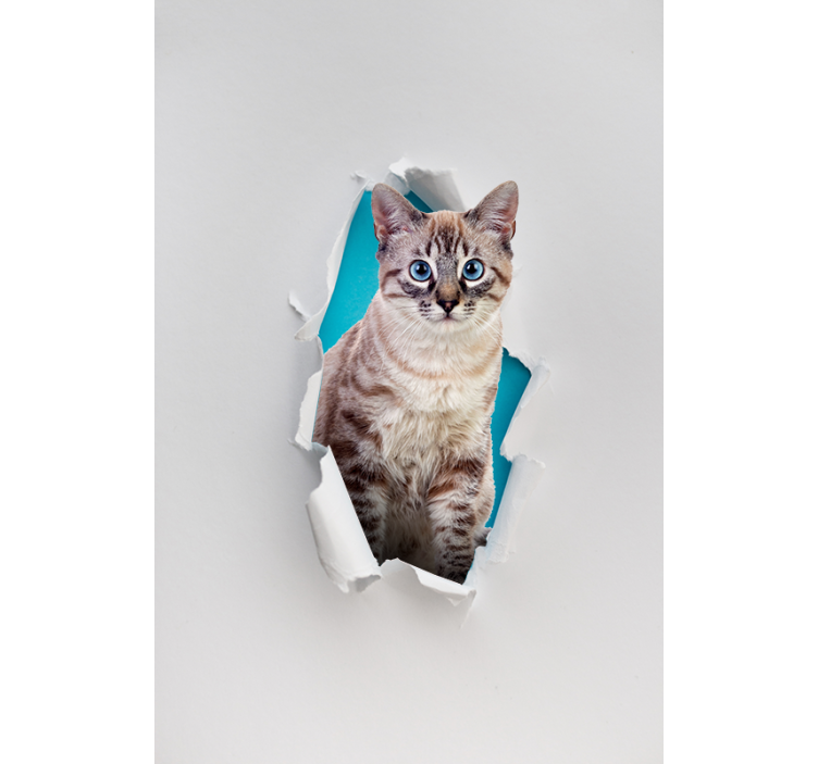 Stores avec plus d'animaux Chat - TenStickers