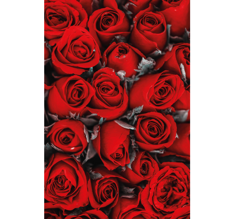 Store enrouleur cuisine fleurs Roses rouges romantiques - TenStickers