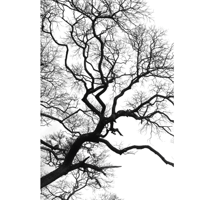 Stores arbre d'hiver sombre vu par la fenêtre - TenStickers