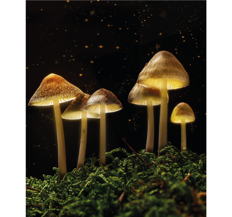 Store enrouleur autres champignons lumineux dans la nature - TenStickers