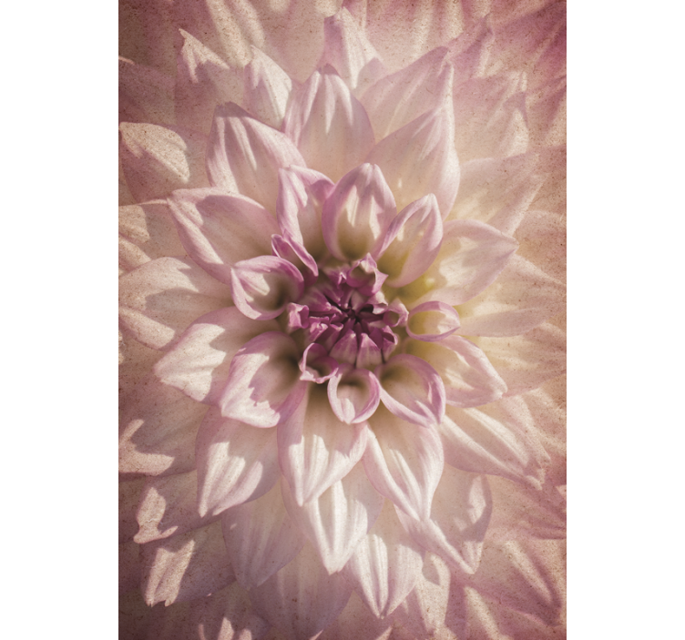 Stores enrouleurs fleurs et plantes floraison délicate - TenStickers