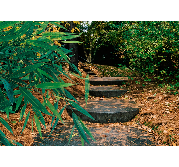 Store enrouleur forêt 3D et petite route  - TenStickers