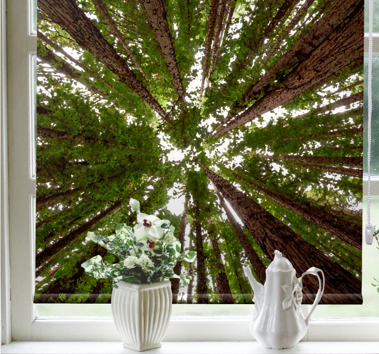 Store enrouleur arbre conception de grande verrière - TenStickers