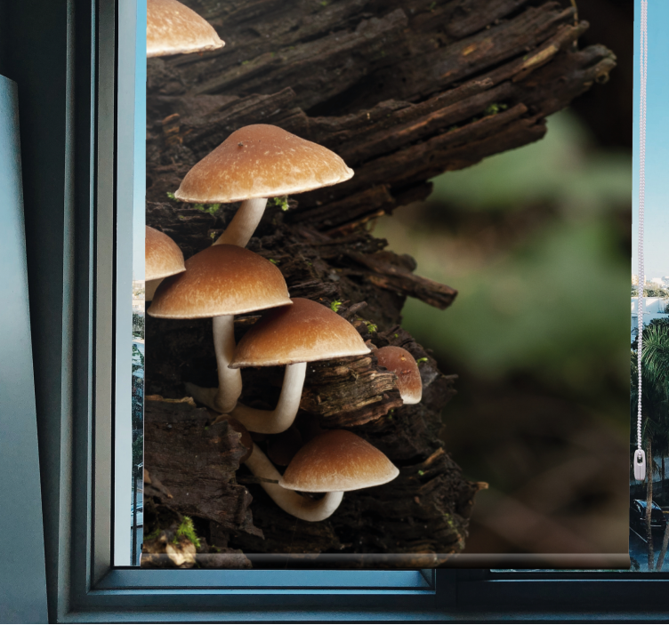 Stores enrouleurs fleurs et plantes champignons sur bois - TenStickers