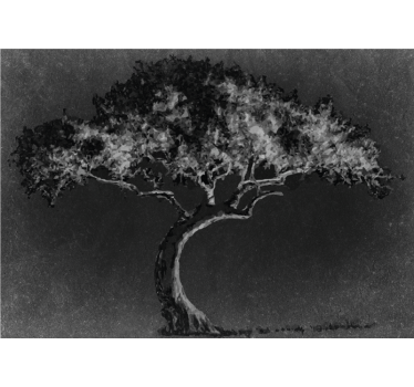 Store enrouleur cuisine arbre saule couleurs scandinaves - TenStickers