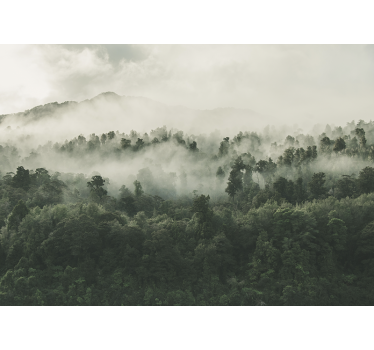 Store enrouleur cuisine forêt avec brouillard d'en haut - TenStickers