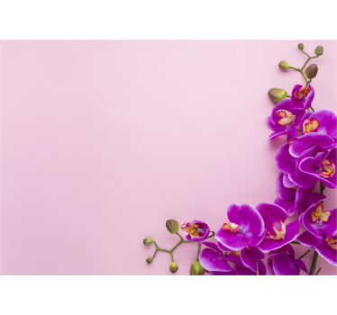 Store enrouleur cuisine fond rose avec orchidée - TenStickers