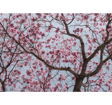 Store enrouleur cuisine arbre de cerisier rose magnifique - TenStickers