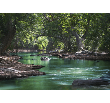 Store enrouleur bureau forêt et rivière - TenStickers