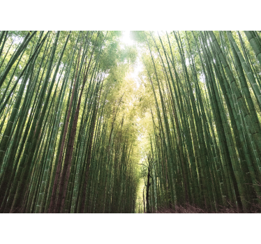 Store enrouleur bureau forêt de bambou zen - TenStickers