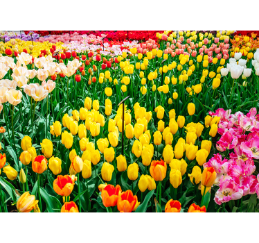 Store enrouleur bureau fleurs de tulipe - TenStickers