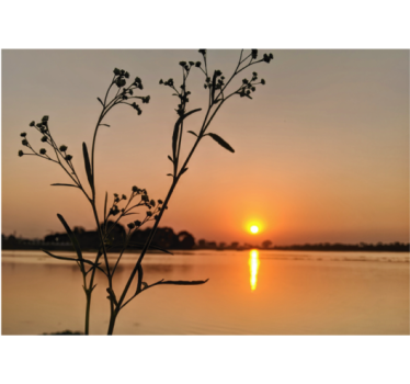 Store enrouleur bureau coucher de soleil sur le lac - TenStickers