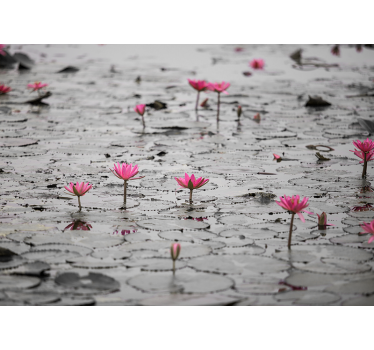 Store enrouleur bureau fleurs de loto en gris - TenStickers