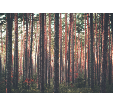 Store enrouleur bureau paysage de forêt profonde - TenStickers