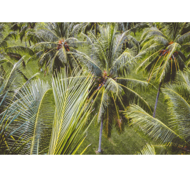 Store enrouleur bureau paysage de forêt de palmiers - TenStickers