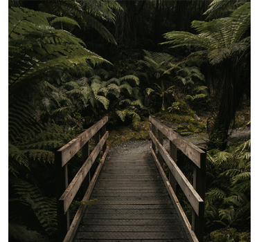 Store enrouleur bureau pont naturel en forêt - TenStickers