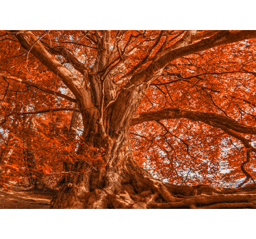 Store enrouleur bureau arbre d'automne magnifique - TenStickers