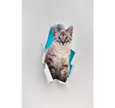 Store plus d'animaux Chat - TenStickers