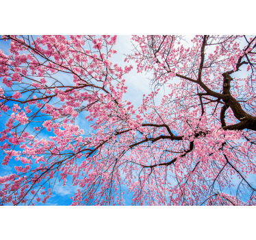 Store enrouleur fleurs et de plantes branche de sakura - TenStickers