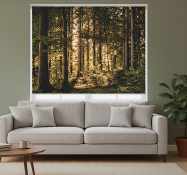 Store enrouleur bureau forêt de midi nature - TenStickers