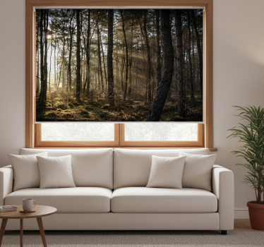 Store enrouleur bureau lever de soleil en forêt - TenStickers