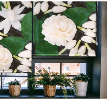Store style belles fleurs de couleur blanche - TenStickers