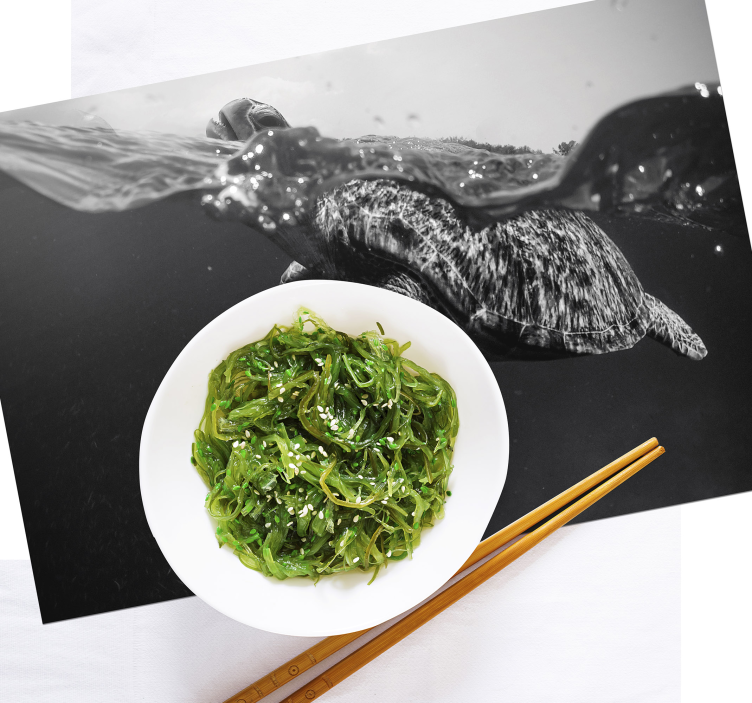 Set de table design bois scène sous-marine tortue - TenStickers