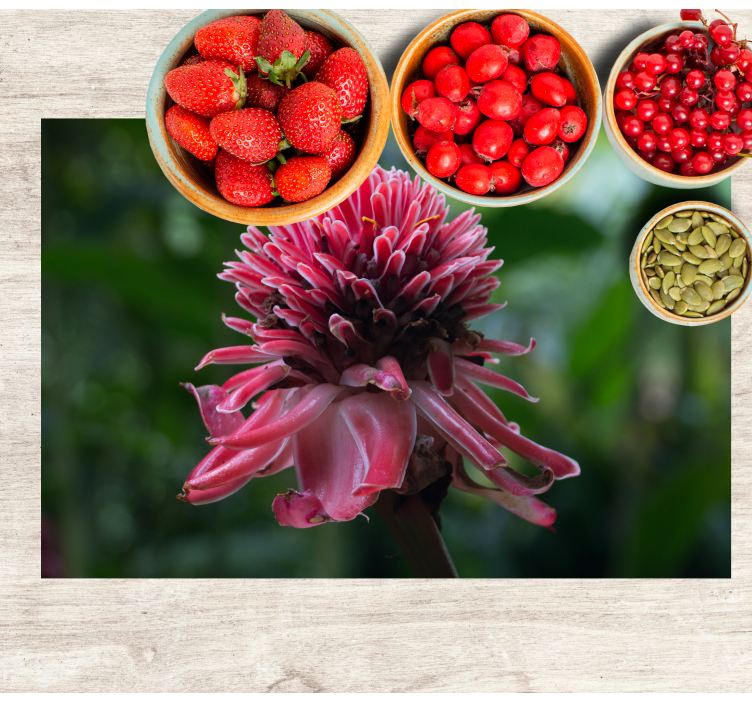 Set de table original arrangement floral tropical - TenStickers