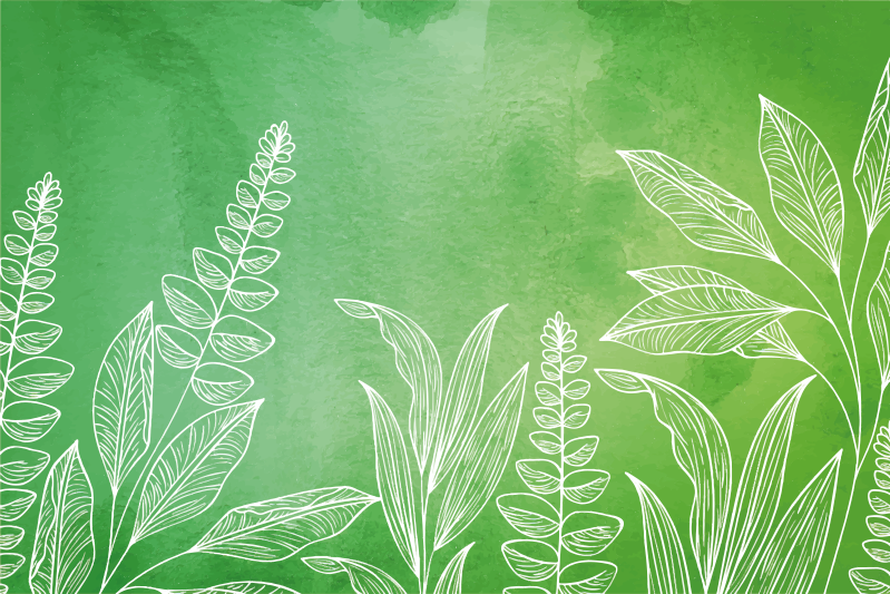 Set de table design enfant service à thé feuilles - TenStickers