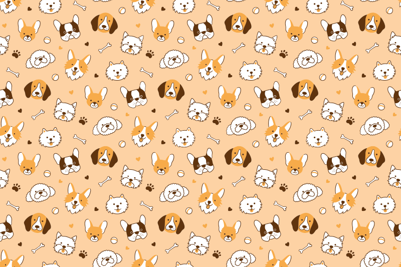 Set de table design enfant visages d'animaux mignons - TenStickers