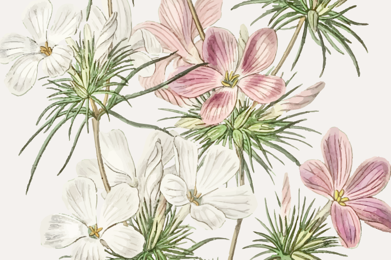 Set de table original arrangement botanique floral - TenStickers