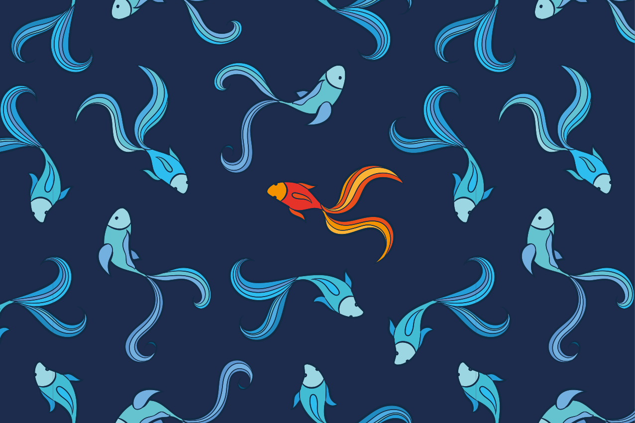 Set de table original motif de poissons vibrants - TenStickers