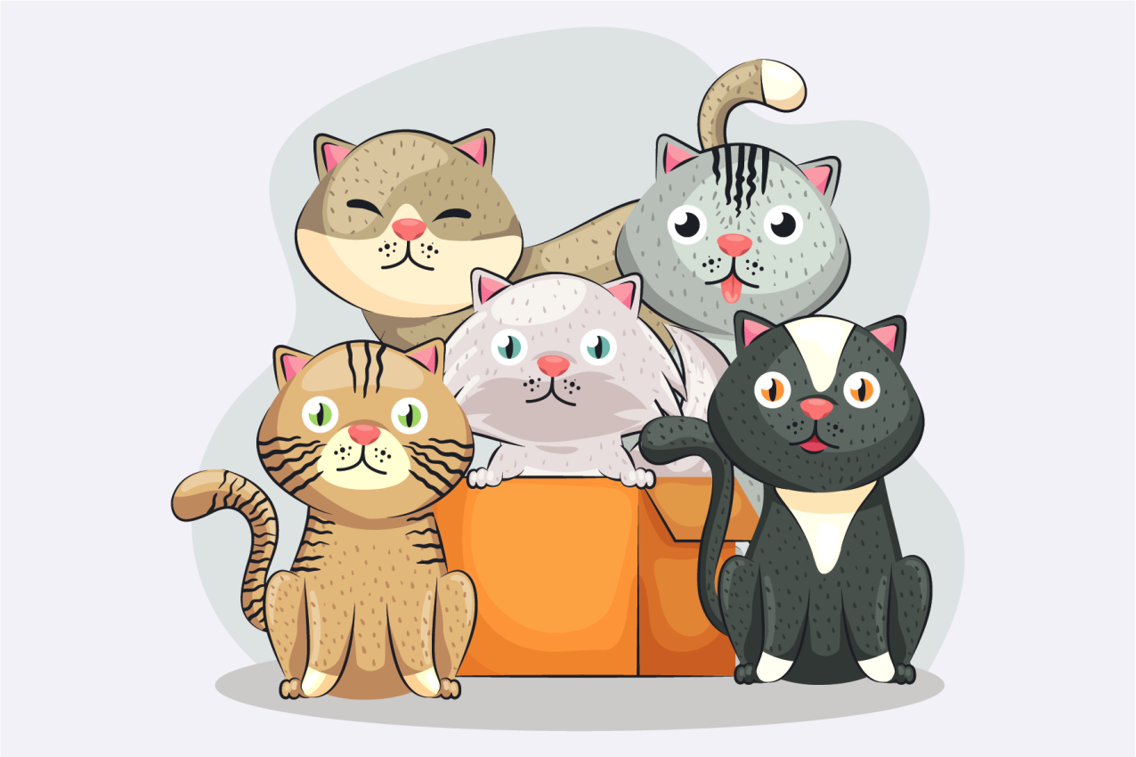 Set de table design enfant visages de chats mignons - TenStickers