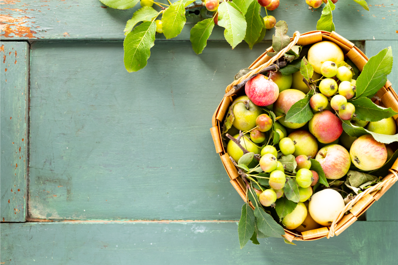Set de table pour maison arrangement de fruits - TenStickers