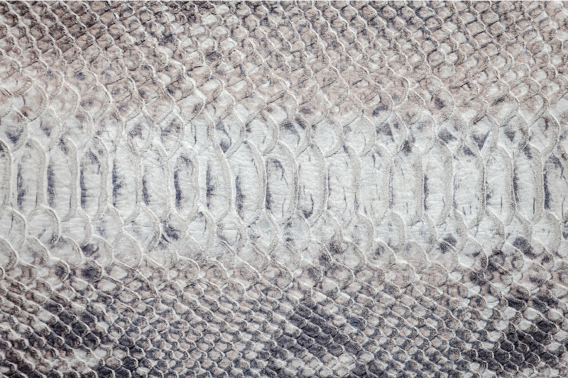 Set de table design bois texture peau de serpent - TenStickers