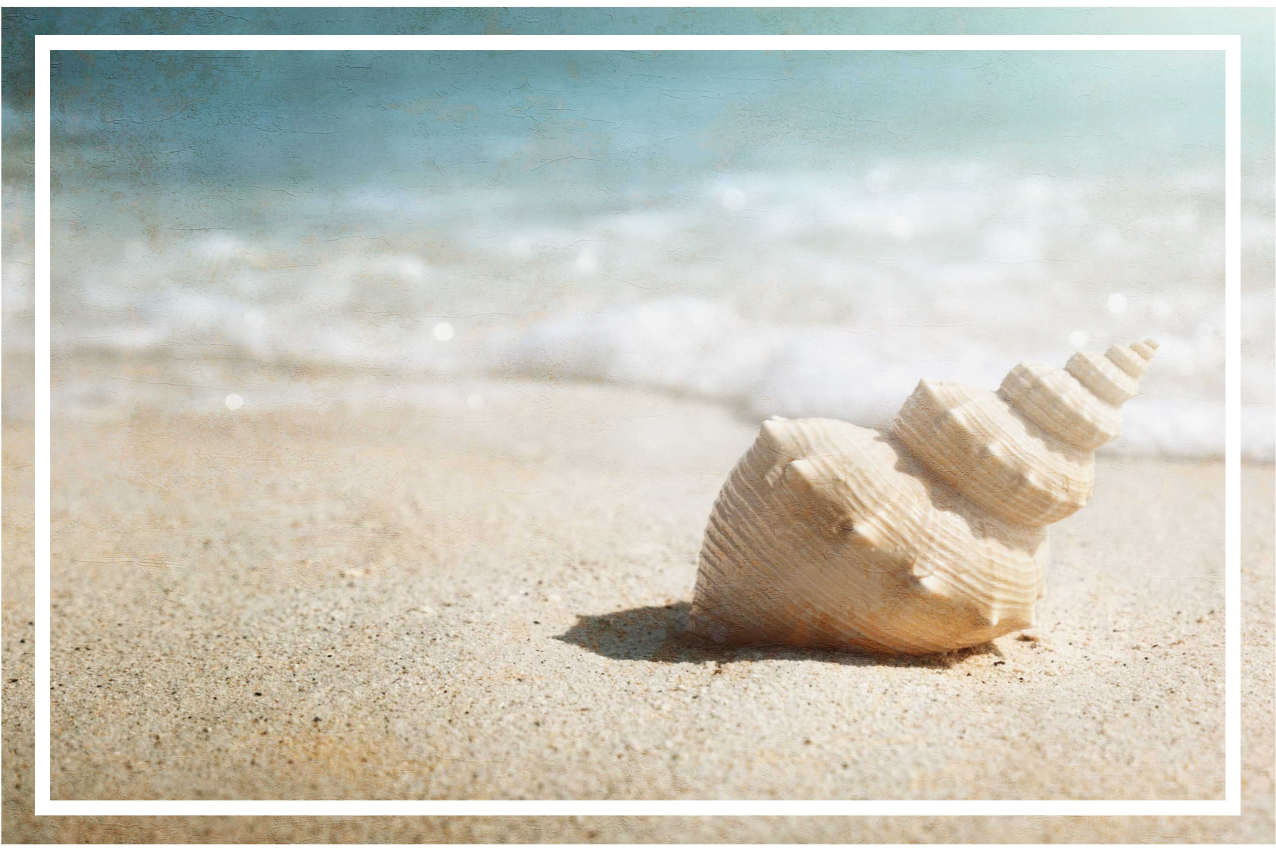 Set de table original affichage élégant de coquillage - TenStickers