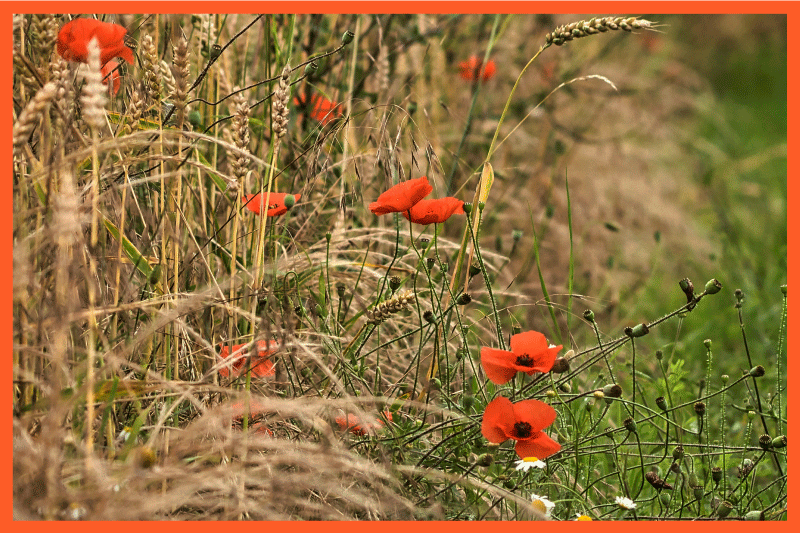 Set de table design enfant agencement alimentaire amusant - TenStickers