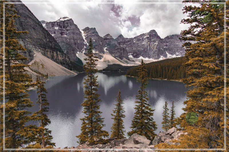 Set de table original photographie forêt canadienne - TenStickers