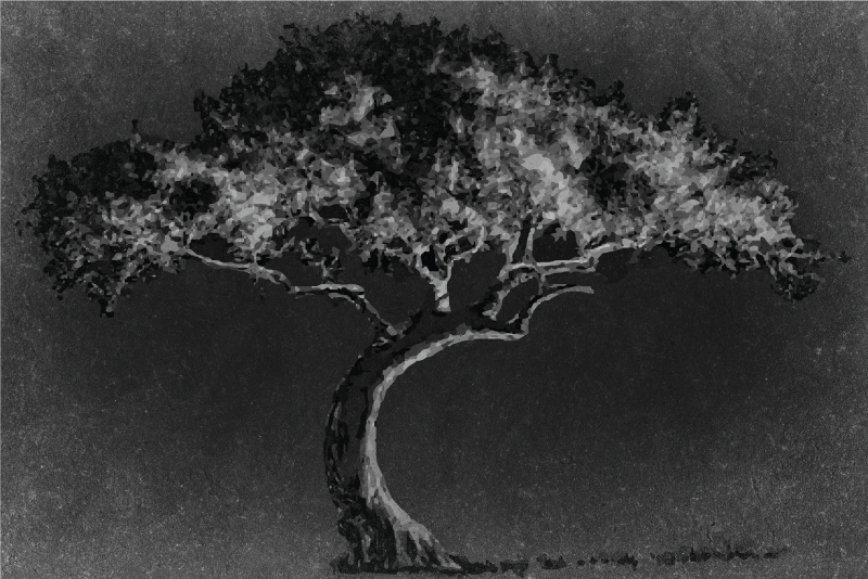 Set de table design bois silhouette d'arbre artistique - TenStickers