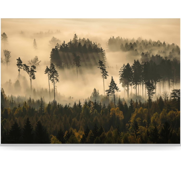 Papier peint forêt brume éthérée du matin - TenStickers