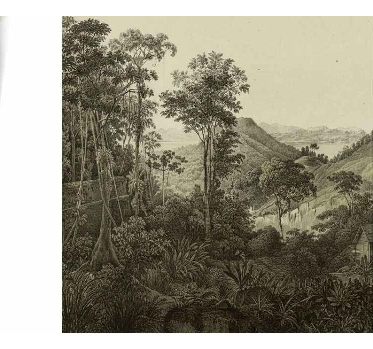 Papier peint forêt impression colline - TenStickers