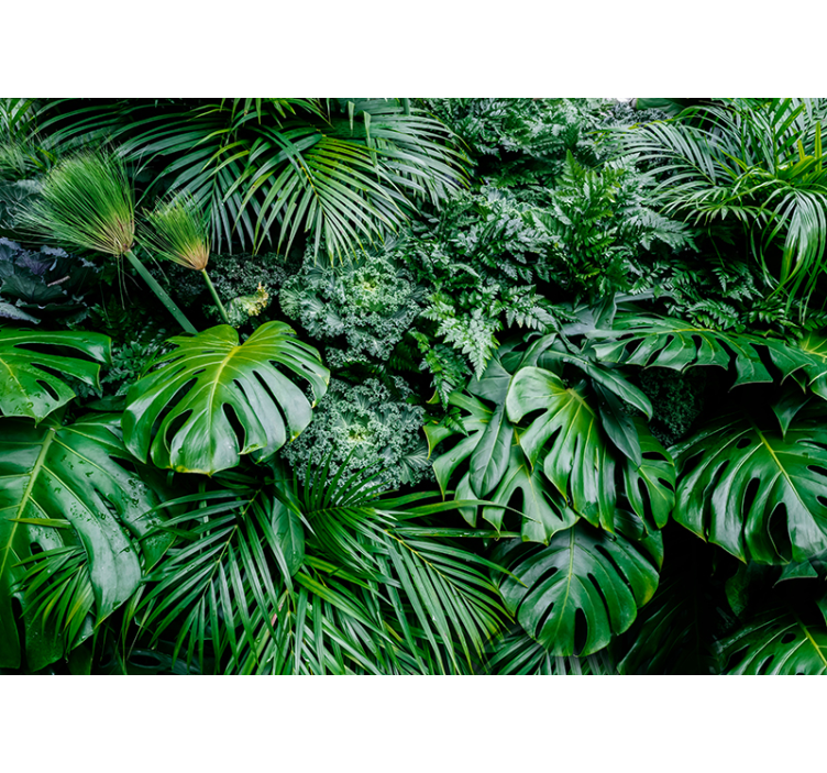 Papier peint mural plantes jungle - TenStickers
