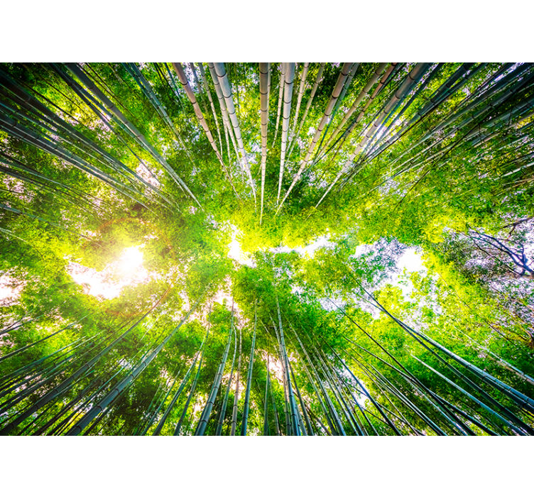 Papier peint forêt paysage jardin oriental - TenStickers