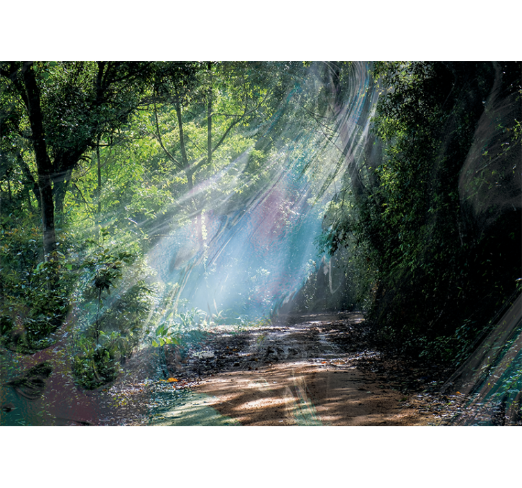 Papiers peints nature chemin lumineux en forêt - TenStickers