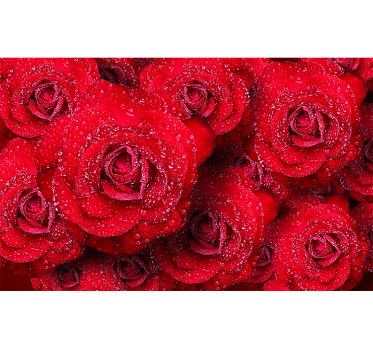 Tapisserie rose roses rouges en fleurs - TenStickers