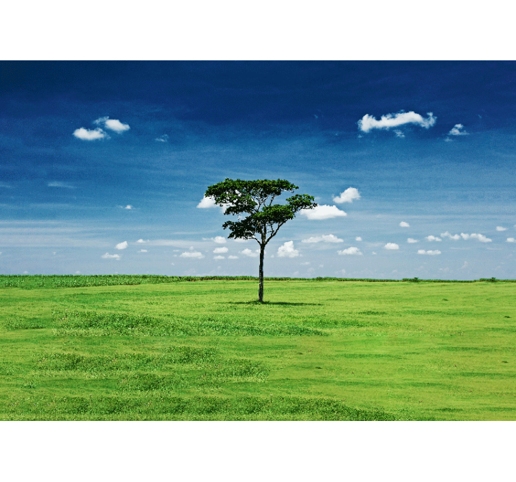 Tapisserie nature arbre vert solitaire - TenStickers