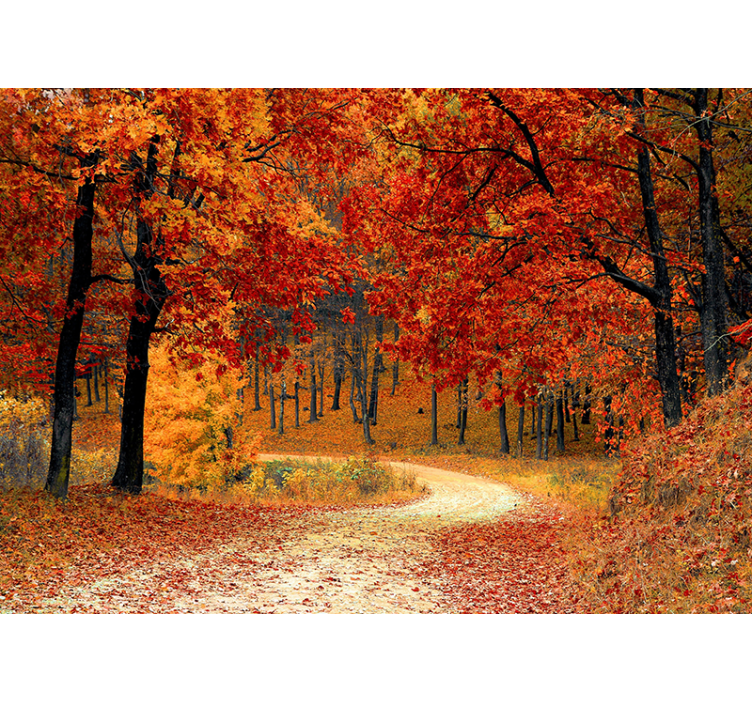Tapisserie nature sentier forestier d'automne - TenStickers
