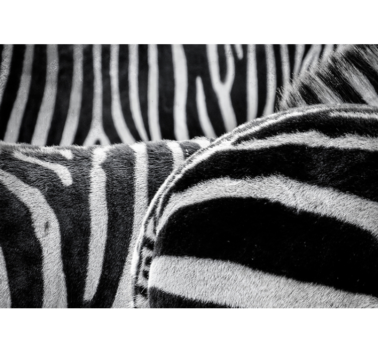 Tapisserie animaux rayures de zèbres réalistes - TenStickers