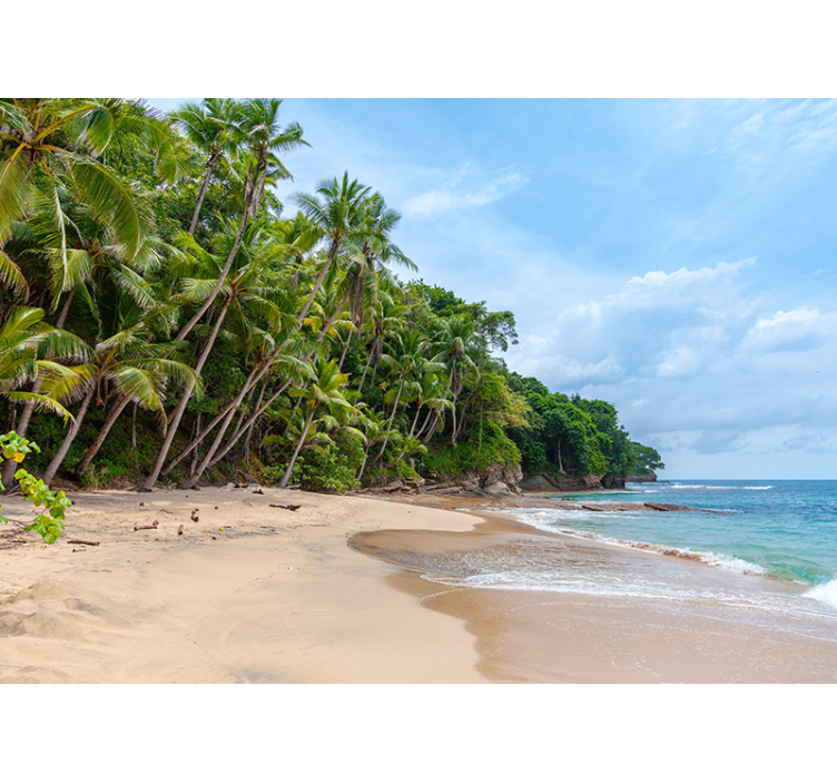 Tapisserie nature oasis tropicale en bord de mer - TenStickers